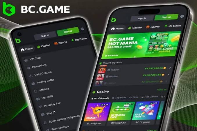 BC.Game Login Accessing Your Gaming Account BC.Game Login Accessing Your Gaming Account